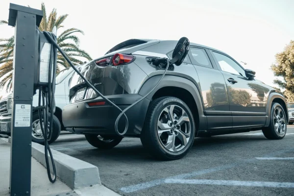 elektromos auto tamogatas